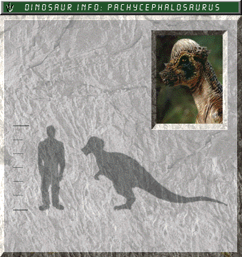 Pachycephalosaurus field card
