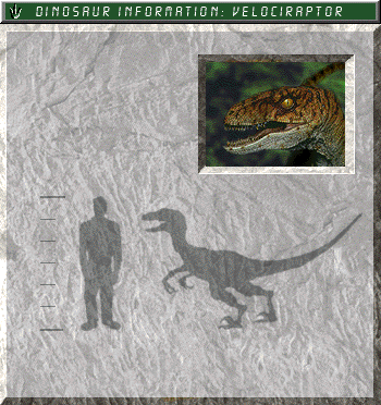 Velociraptor field card