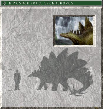 Stegosaurus field card